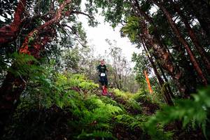 BIB: 
                            <button type="button" onclick="openModal(26201440)" class="btn btn-primary btn-sm float-right btn-popup" data-toggle="modal" data-target=".modal-high-quality">
                        <i class="fas fa-shopping-cart"></i> Add to Cart
                    </button>
                                            <button type="button" onclick="isThisMe(26201440, true)" class="btn btn-success btn-sm float-right btn-popup btn-isme hidden" data-toggle="tooltip" data-placement="bottom" title="นี่คือรูปของคุณใช่ไหม คลิกที่นี่เพื่อเอาเข้าอัลบั้ม">
                        <i class="fas fa-plus"></i> Add to album
                    </button>
                    <button type="button" onclick="isThisMe(26201440, false)" class="btn btn-warning btn-sm float-right btn-popup btn-isnotme hidden">
                        <i class="fas fa-ban"></i> Remove from album
                    </button>